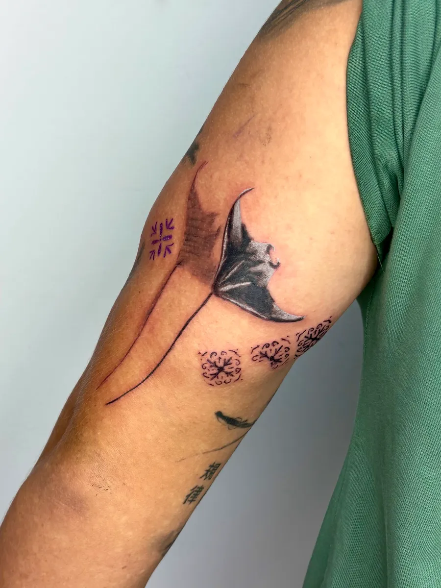 Manta Ray