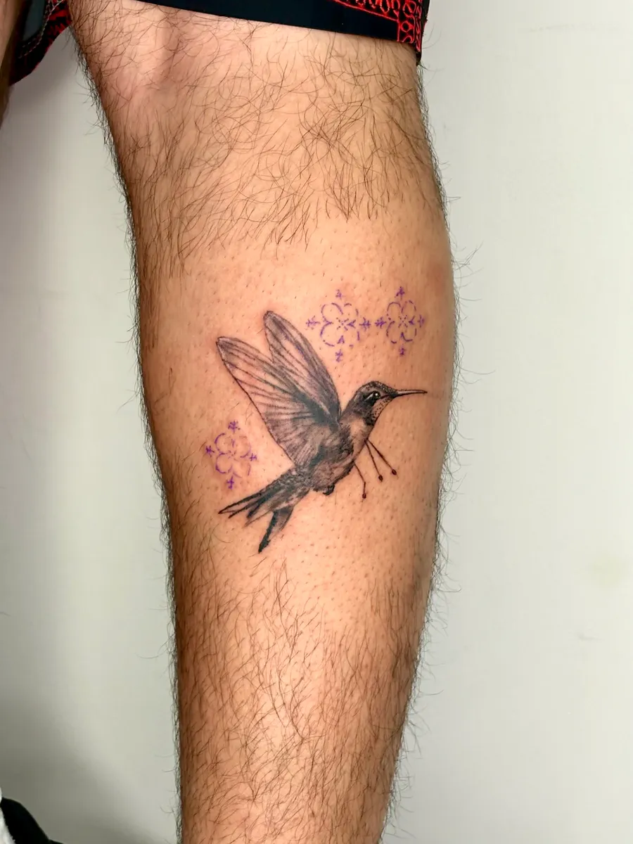 Hummingbird