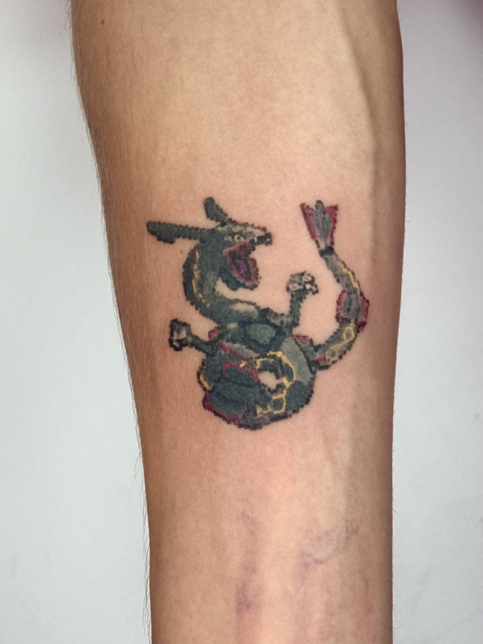 shiny rayquaza